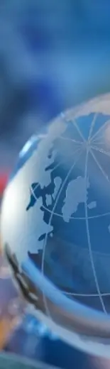 International Business Networking