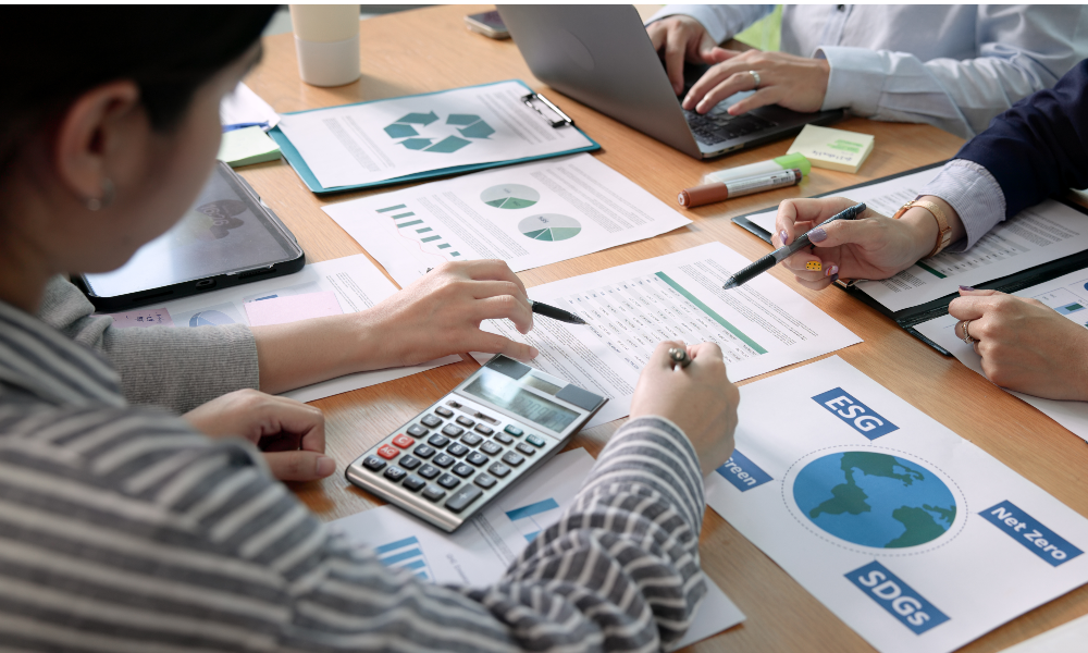 Sustainable Business Model